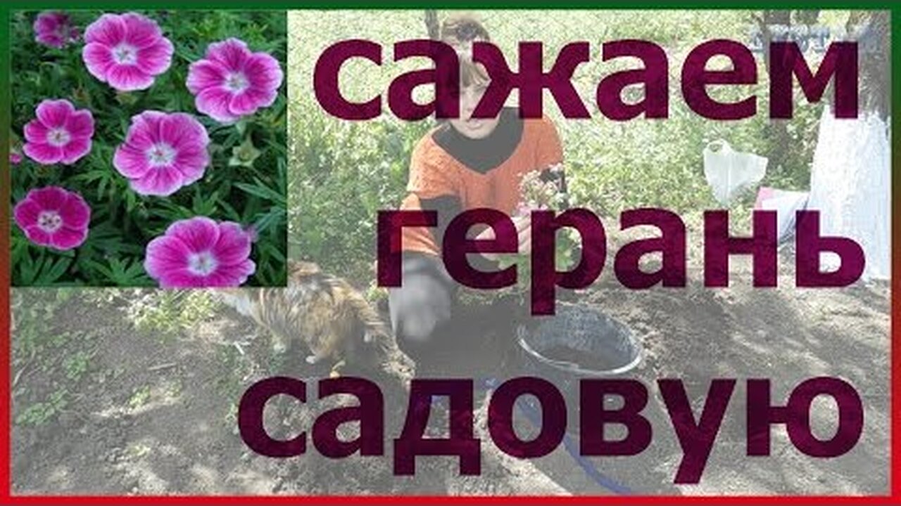 Klikněte a uvidíte