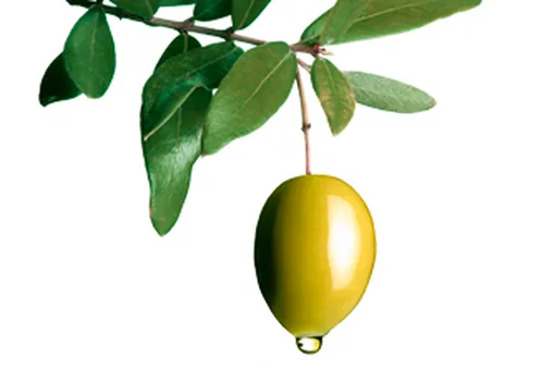 5 рецептов с... оливковым маслом
