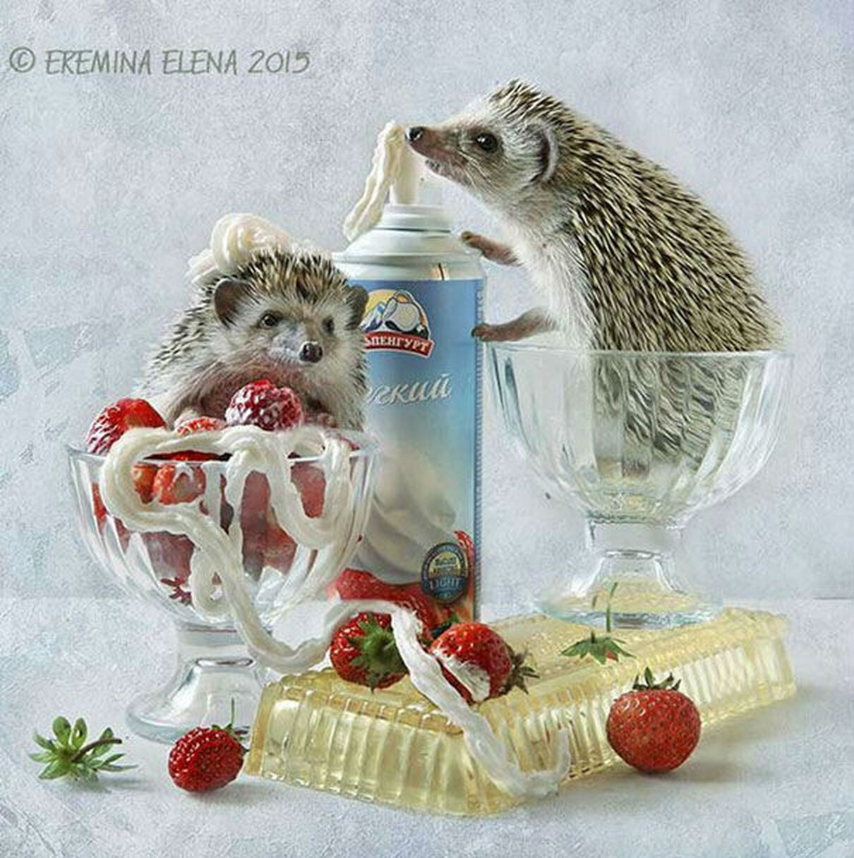 Ёжики Елены Ерёминой