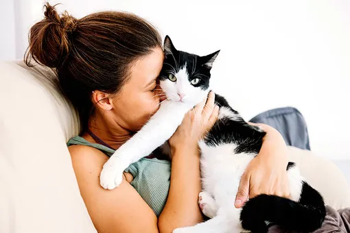 Знает ли ваша кошка, как ее зовут? Объясняют ученые