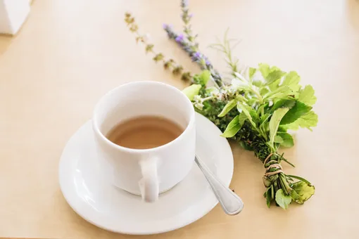 30 растений для чая: завариваем и наслаждаемся