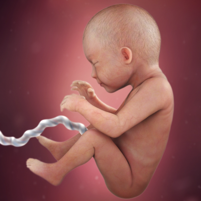 Тазовое предлежание на 29 недели!! — 24 ответов | форум Babyblog Тазовое предлежание – как повернуть малыша