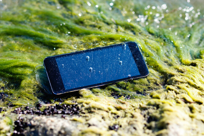 Уронили в воду телефон? Без паники!