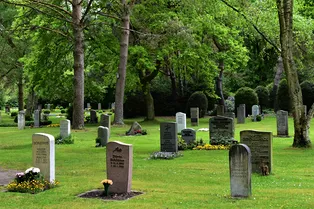 К чему снится кладбище и могилы: значение сна по разным сонникам