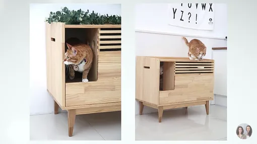 Шкаф для кошки, Kotovo