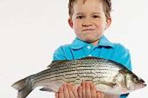 Рыбий жир — эликсир молодости