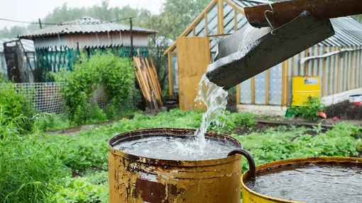 Можно ли поливать растения в огороде ржавой водой