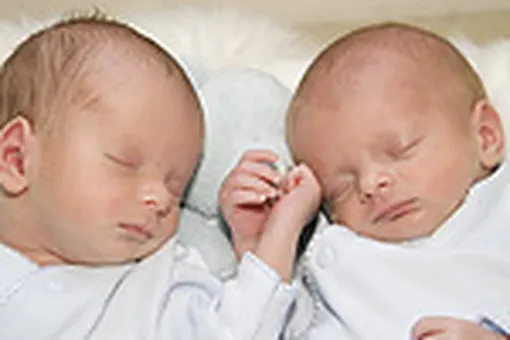 Две пары близнецов родились в один день