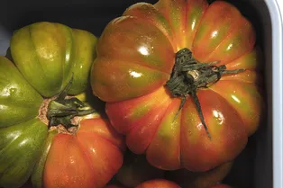 Топ-10 сортов двухцветных томатов, которые стоит попробовать
