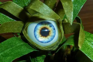10 самых страшных и жутких растений со всего мира: ночные кошмары природы