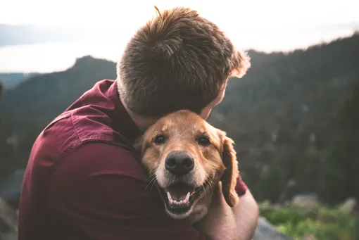 Будьте рядом с собакой до самого конца и демонстрируйте свою любовь