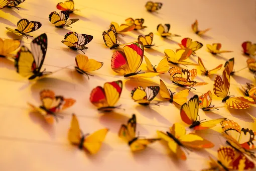 Эта цветочная оптическая иллюзия ставит в тупик! Только самые внимательные найдут здесь бабочек