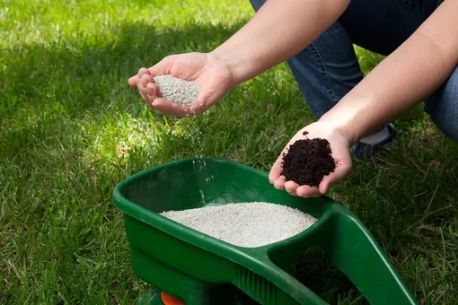 Главные элементы для роста газонной травы — азот и фосфор