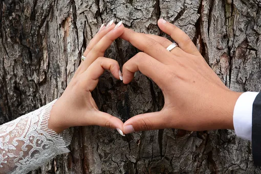 Вы покраснели: 27 лет супружества — как отмечать год «красного дерева»