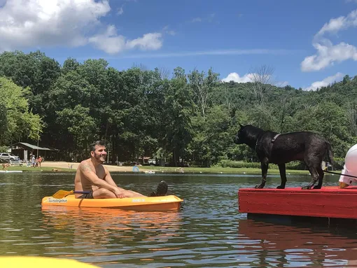 пес плавает