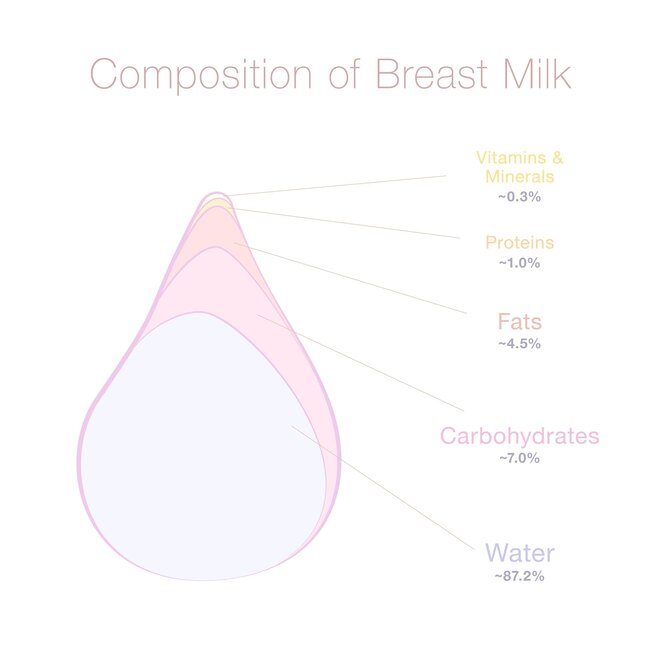 Что такое грудное молоко, как оно появляется в теле женщины и что  заставляет его течь из груди? Состав и уникальные свойства естественного  детского питания