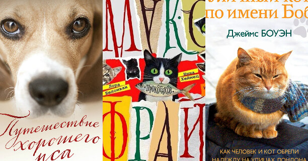 3 трогательных книги про домашних животных