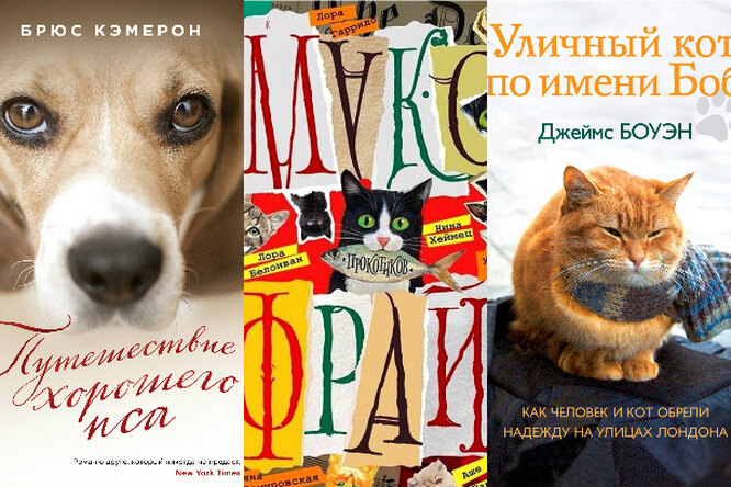 3 трогательных книги про домашних животных