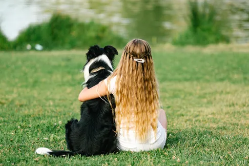 Первый за 60 лет: российский пес спас девочку от педофила и получил награду