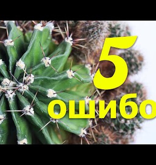 Нажми и смотри