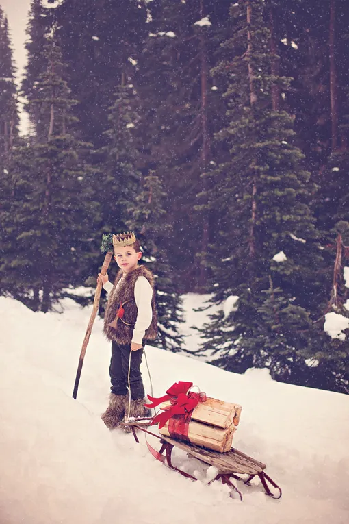 мальчик в лесу с санками и подарком