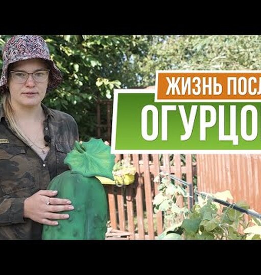 Klikněte a uvidíte