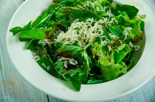 Рецепт салата из крапивы, щавеля и зеленого лука