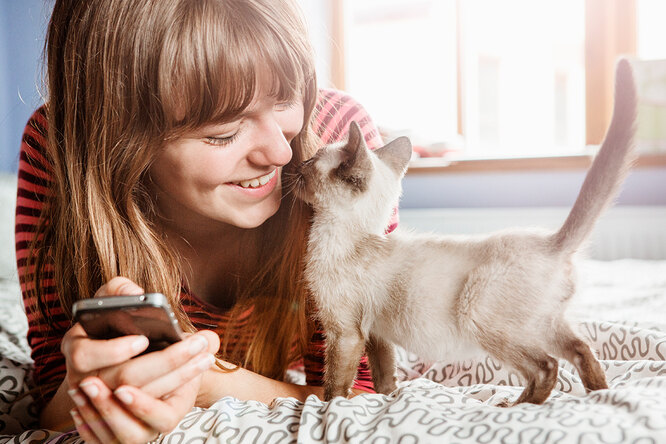 Хоумстейджеры и котоняни: 6 новых сервисов, которые помогут себя разгрузить Хоумстейджеры и котоняни: 6 новых сервисов, которые помогут себя разгрузить