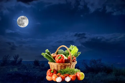 Лунный посевной календарь садовода и огородника на неделю с 8 по 14 мая 2023 года