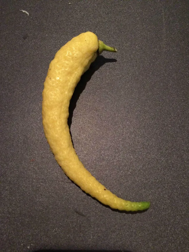 Перец, решивший, что он лимон