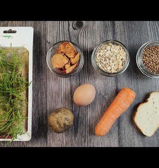 Натисни та дивись