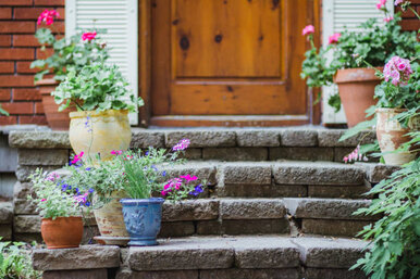 12 растений, которые украсят вашу входную дверь и подчеркнут её уникальность