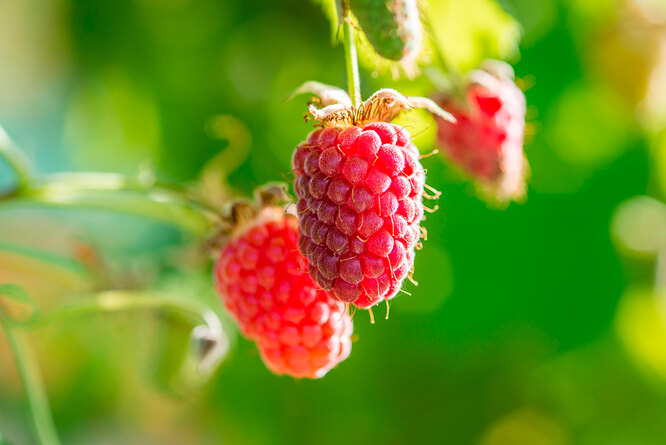 Неблагоприятные погодные условия