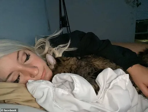 девушка и кот, кот, спящая девушка