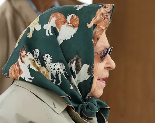 Королева Елизавета II в шёлковом платке