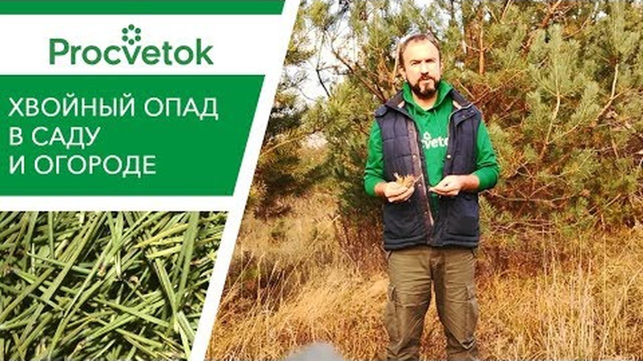 Klikněte a uvidíte
