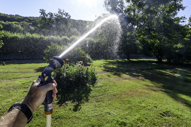 Льготный тариф для садоводов предложили распространить на всю Россию
