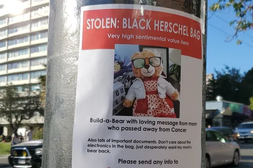 Жители Ванкувера помогли девушке найти украденного плюшевого мишку: в нем было послание умершей матери