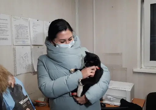 Гульнара Рахматулина со спасённым котом
