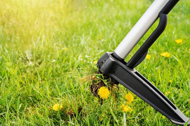Fiskars odstraňovač kořenů (hrabání plevele)