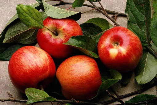 5 секретов, чтобы всегда быть с урожаем яблок