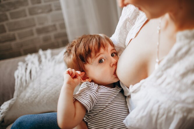 Грудное вскармливание: 7 мифов о том, что должна есть и пить кормящая мама