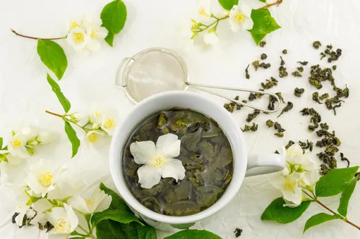 Зеленый чай с цветком жасмина и ветки жасмина