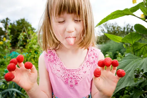 Как поливать малину, чтобы ягод было в два раза больше?