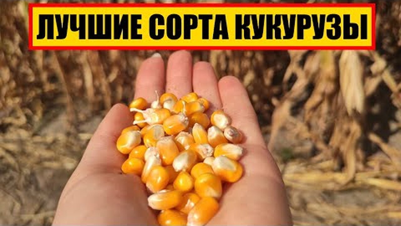 Klikněte a uvidíte