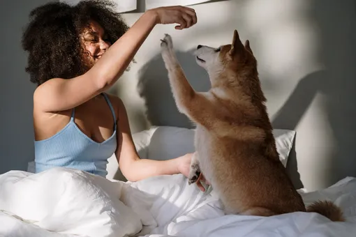 Девушка и собака на кровати