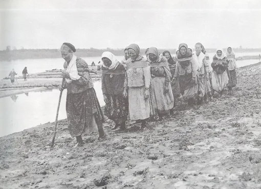 Бурлачки на реке Сура в начале XX века