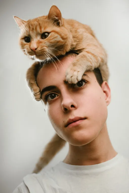 парень с кошкой на голове