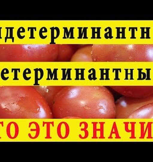 Нажми и смотри