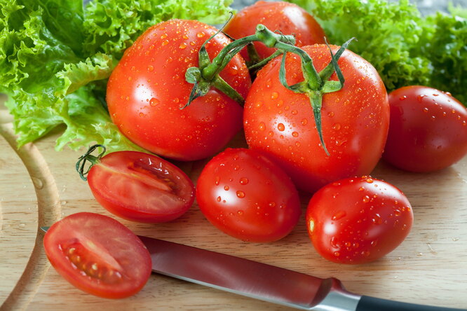 Можно ли употреблять в пищу помидоры, зараженные фитофторой?